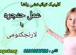 درمان مشکلات صوتی با کمترین هزینه در کلینیک توانبخشی یاشا _ 09909501428