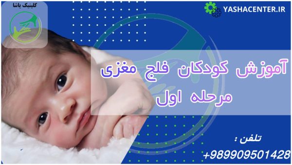 آموزش کودکان فلج مغزی ، پیشنهادات آموزشی ، کلینیک یاشا ، 09909501428