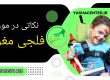 نکات مهم در مدیریت و درمان فلجی مغزی کلینیک توانبخشی یاشا تلفن تماس : 09909501428